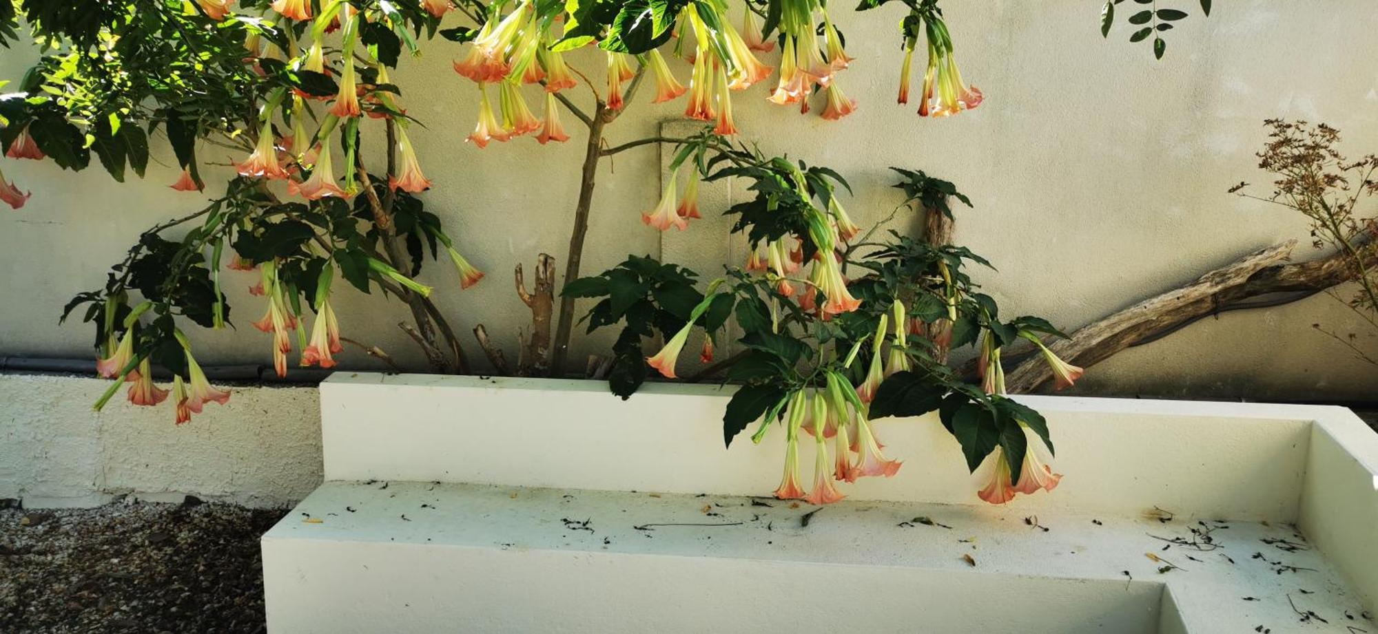 Maison Magnolia Marcorignan Exteriér fotografie